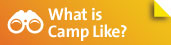 What is Camp Like button